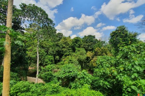 Land in Tabanan, Bali (11668) 5