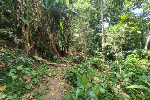 Land in Tabanan, Bali (11668) 7