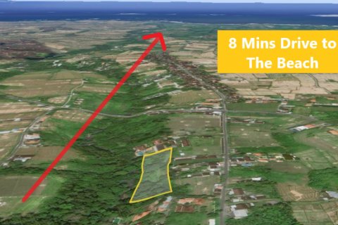 Land in Tabanan, Bali (11668) 3