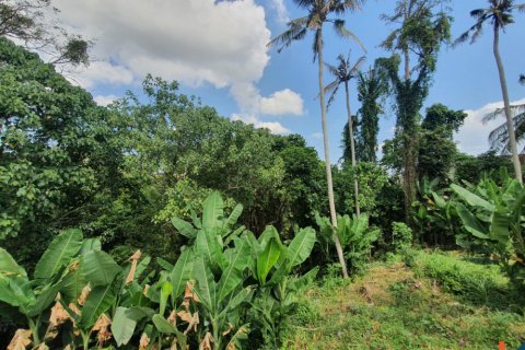 Land in Tabanan, Bali (11668) 4