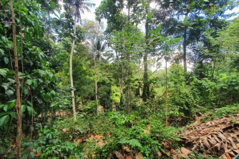 Land in Tabanan, Bali (11668) 8