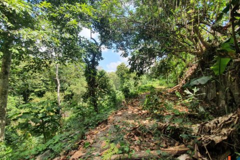 Land in Tabanan, Bali (11668) 6