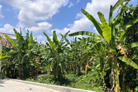 Land in Kerobokan, Badung, Bali (11995) 4