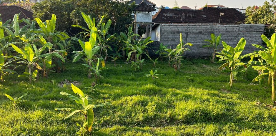 Land in Kerobokan, Badung, Bali (11995)