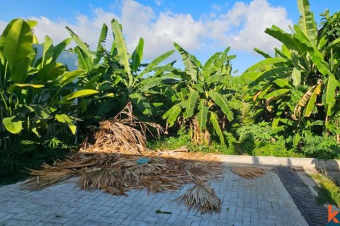 Land in Kerobokan, Badung, Bali (11995) 5