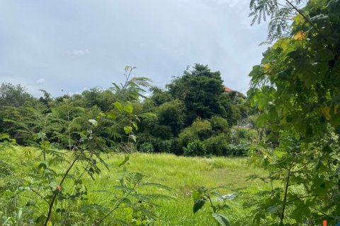 Tanah kavling di Pererenan, Mengwi, Badung, Bali (11994)