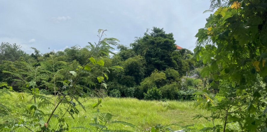 Land in Pererenan, Mengwi, Badung, Bali (11994)