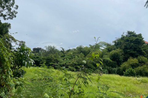 Land in Pererenan, Mengwi, Badung, Bali (11994) 2