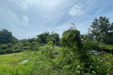 Land in Pererenan, Mengwi, Badung, Bali (11994) 5
