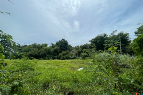 Land in Pererenan, Mengwi, Badung, Bali (11994) 3