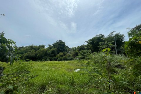 Land in Pererenan, Mengwi, Badung, Bali (11994) 4
