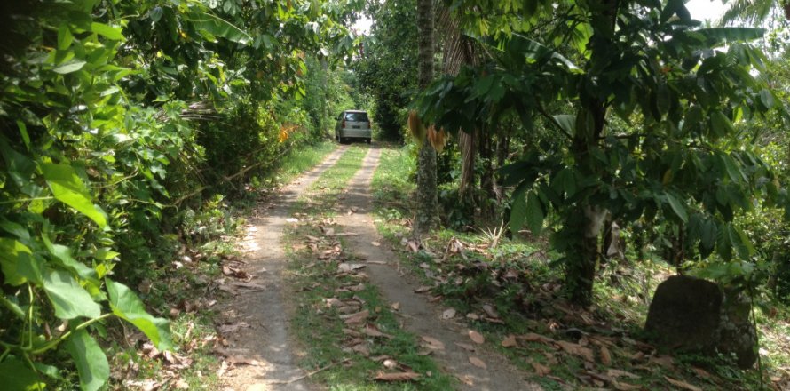 Land in Tabanan, Bali (12181)