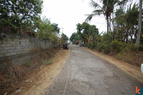 Land in Tabanan, Bali (12184) 3