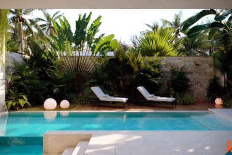 2 bedrooms Villa in Canggu, Badung, Bali (12183) 5
