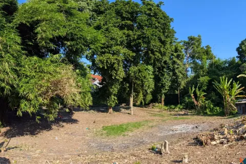 Land in Canggu, Badung, Bali (10761) 4