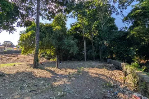 Land in Canggu, Badung, Bali (10761) 8