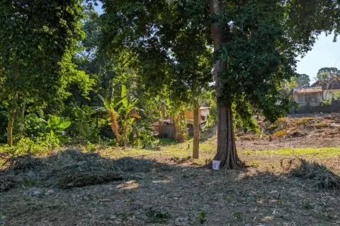 Land in Canggu, Badung, Bali (10761) 9