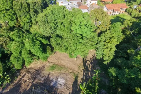 Land in Canggu, Badung, Bali (10761) 3