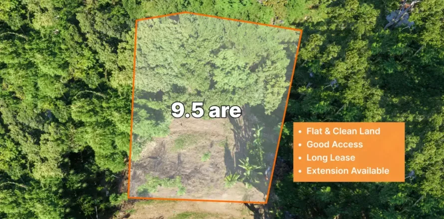 Land in Canggu, Badung, Bali (10761)