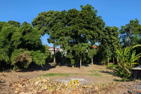 Land in Canggu, Badung, Bali (10761) 7