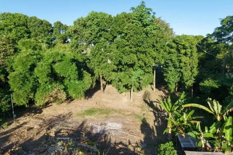 Land in Canggu, Badung, Bali (10761) 2