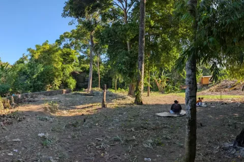 Land in Canggu, Badung, Bali (10761) 5