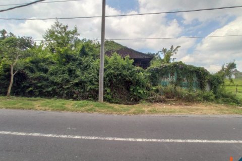 Tanah kavling di Tabanan, Bali (12283)