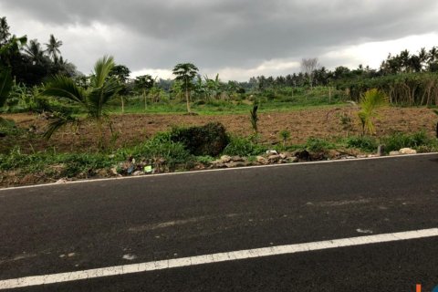 Land in Mengwi, Badung, Bali (12280) 5