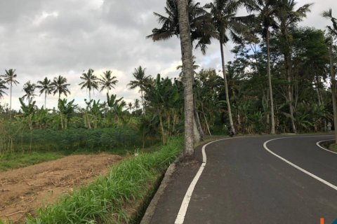 Land in Mengwi, Badung, Bali (12280) 4