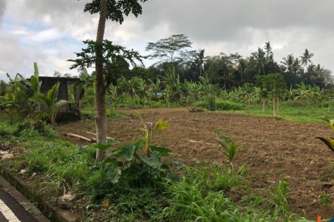 Land in Mengwi, Badung, Bali (12280) 3