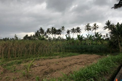 Tanah kavling di Mengwi, Badung, Bali (12280)