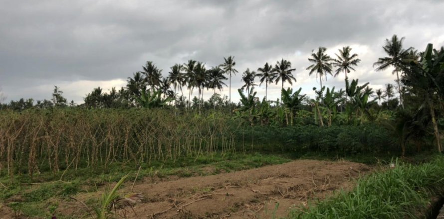 Land in Mengwi, Badung, Bali (12280)