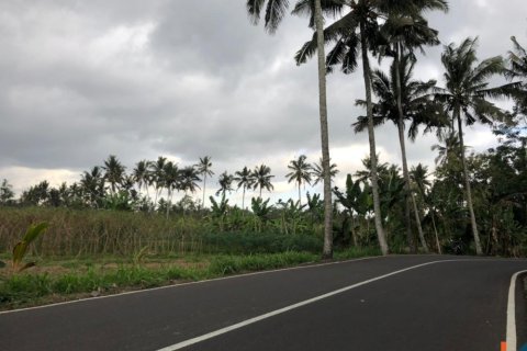 Land in Mengwi, Badung, Bali (12280) 2