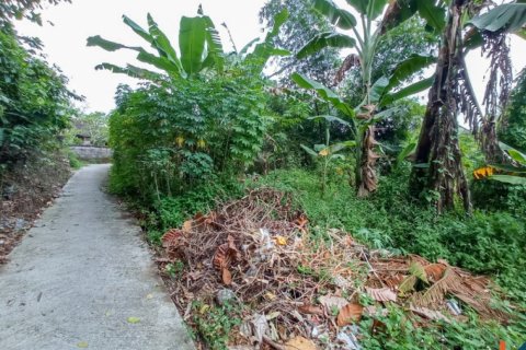 Land in Tabanan, Bali (12284) 2