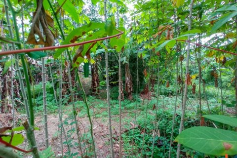 Land in Tabanan, Bali (12284) 5