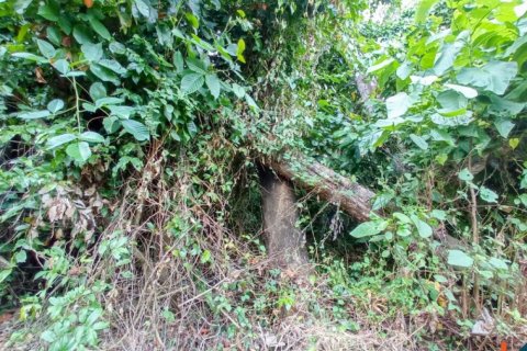 Land in Tabanan, Bali (12284) 6