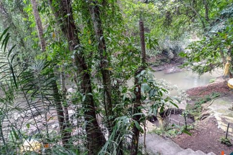 Land in Tabanan, Bali (12284) 3