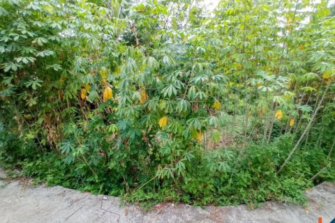 Land in Tabanan, Bali (12284) 9