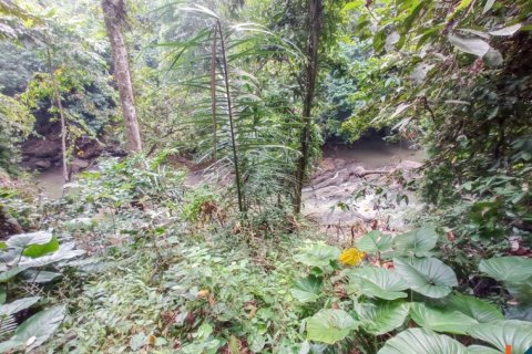 Land in Tabanan, Bali (12284) 10