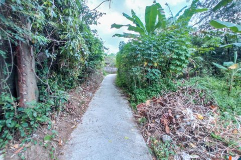 Land in Tabanan, Bali (12284) 7