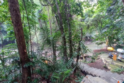 Land in Tabanan, Bali (12284) 4