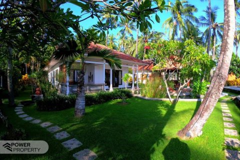 9 bedrooms Villa in Lovina, Anturan, Buleleng, Bali (5858) 14