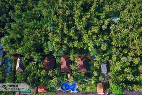 9 bedrooms Villa in Lovina, Anturan, Buleleng, Bali (5858) 21