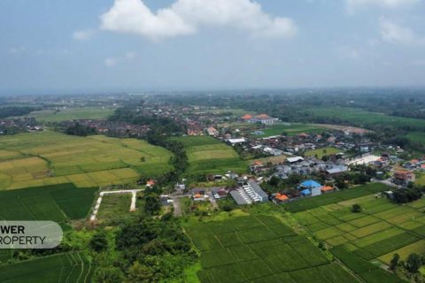 1285m2 Land in Tabanan, Bali (8516) 7