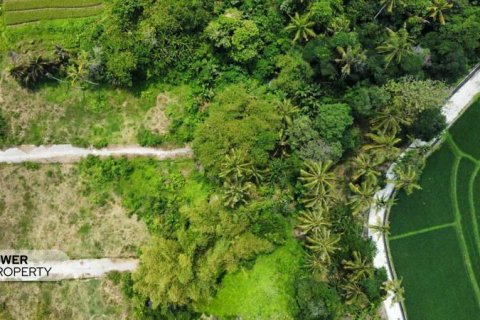 1285m2 Land in Tabanan, Bali (8516) 14