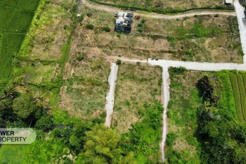 1285m2 Land in Tabanan, Bali (8516) 11