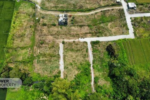 1285m2 Land in Tabanan, Bali (8516) 2