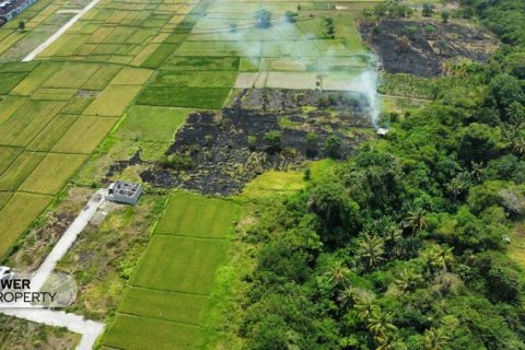 1285m2 Land in Tabanan, Bali (8516) 4