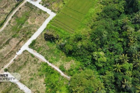 1285m2 Land in Tabanan, Bali (8516) 13