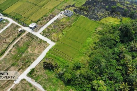 1285m2 Land in Tabanan, Bali (8516) 12